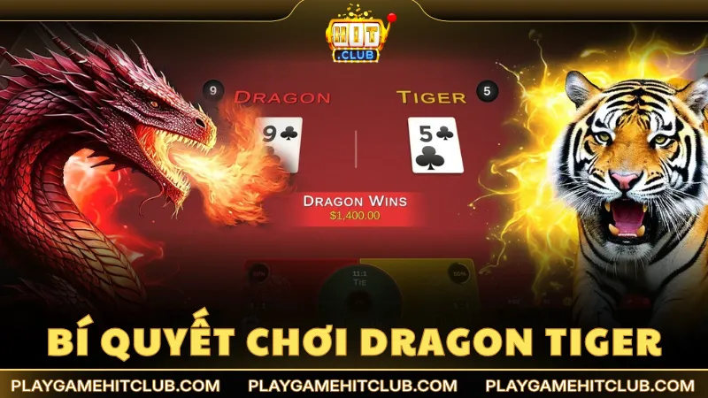 Bí quyết chơi Dragon Tiger giúp gia tăng lợi nhuận đáng kể