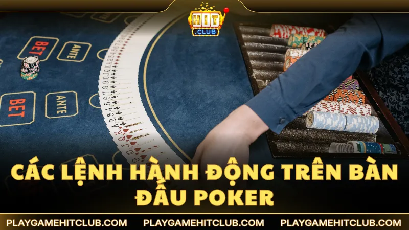 Hành động thực hiện trên bàn đấu Poker