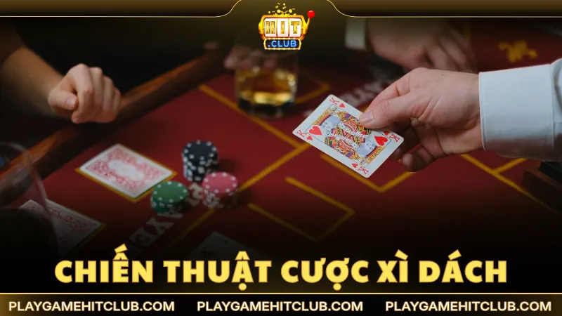 Chiến thuật cược Xì Dách gia tăng tối ưu lợi nhuận