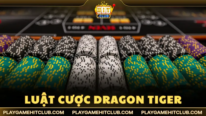 Hướng dẫn luật cược Dragon Tiger đơn giản và đầy đủ