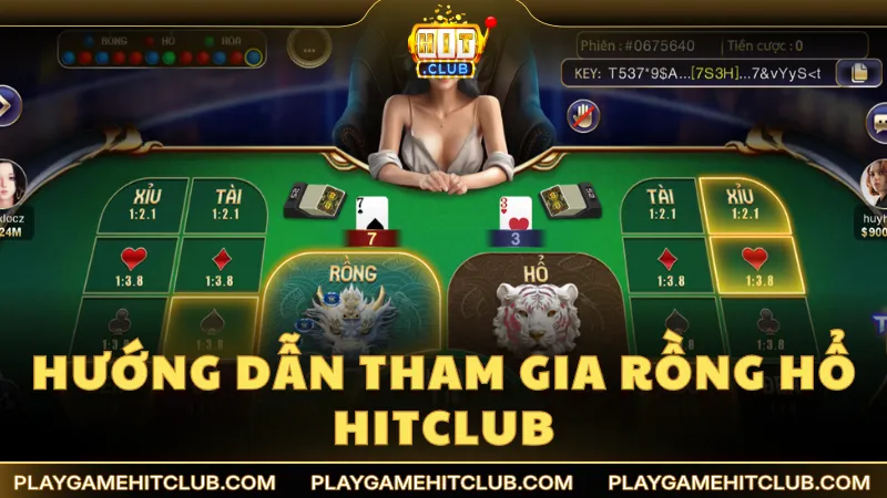 Hướng dẫn tham gia ván cược Rồng Hổ trên HitClub