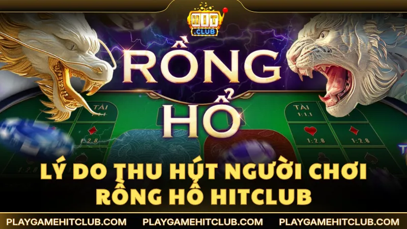 Lý do thu hút người chơi của Rồng Hổ tại HitClub